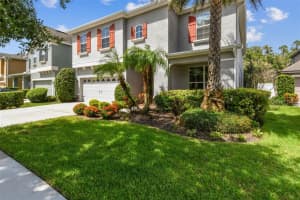 19303 Water Maple Dr, TAMPA