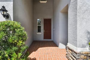 19303 WATER MAPLE DRIVE, TAMPA, FL 33647 - MLS#MFRTB8412298