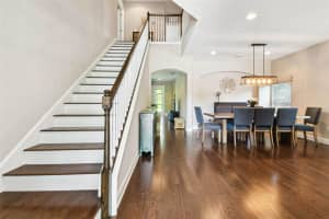 19303 WATER MAPLE DRIVE, TAMPA, FL 33647 - MLS#MFRTB8412298