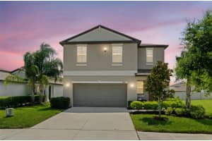 4061 HANOVER DRIVE, NEW PORT RICHEY, FL 34653 - MLS#MFRTB8412299