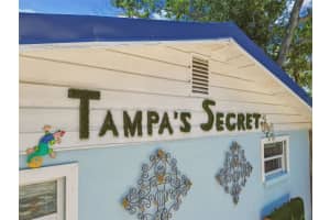 5909 Mohr Rd, TAMPA