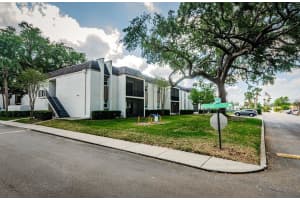 801 RUSSELL LANE, BRANDON, FL 33510 - MLS#MFRTB8412302
