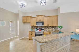 13455 GRAHAM YARDEN DRIVE, RIVERVIEW, FL 33579 - MLS#MFRTB8412322