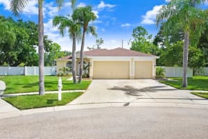 8708 Eagle Cove Ct, TAMPA