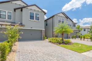 5005 San Martino Dr, WESLEY CHAPEL