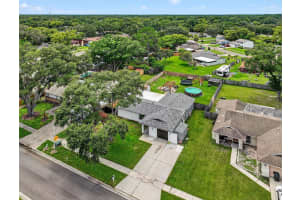 17821 MORNINGHIGH DRIVE, LUTZ, FL 33549 - MLS#MFRTB8412364