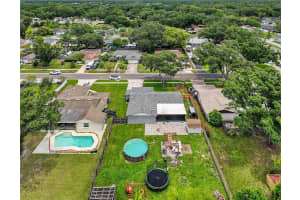 17821 MORNINGHIGH DRIVE, LUTZ, FL 33549 - MLS#MFRTB8412364