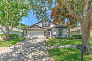 15541 MARTINMEADOW DRIVE, LITHIA, FL 33547 - MLS#MFRTB8412391