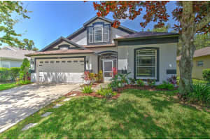 15541 MARTINMEADOW DRIVE, LITHIA, FL 33547 - MLS#MFRTB8412391