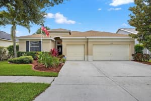 11414 Bridge Pine Dr, RIVERVIEW
