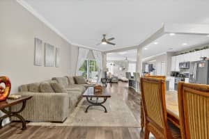 11414 BRIDGE PINE DRIVE, RIVERVIEW, FL 33569 - MLS#MFRTB8412394