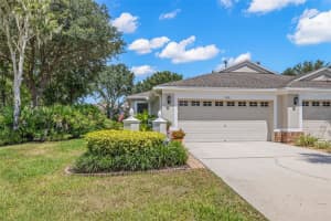 5902 PHOEBENEST DRIVE, LITHIA, FL 33547 Sold 10/09/25