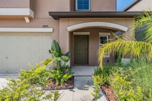 17893 CLOUDLESS BLISS DRIVE, LUTZ, FL 33558 - MLS#MFRTB8412430