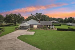 6201 BOB HEAD ROAD, PLANT CITY, FL 33565 - MLS#MFRTB8412447
