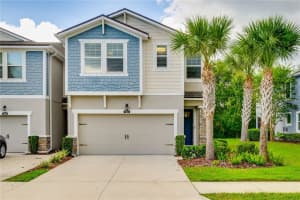 17863 Stella Moon Pl, LUTZ