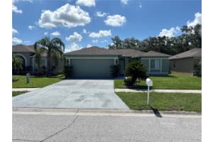 13221 Prestwick Creek Dr, RIVERVIEW