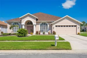 10020 Cypress Shadow Ave, TAMPA