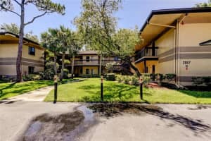 2667 SABAL SPRINGS CIRCLE, CLEARWATER, FL 33761 - MLS#MFRTB8412503