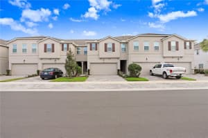 19382 GREAT INTENTION WAY, LUTZ, FL 33558 - MLS#MFRTB8412594