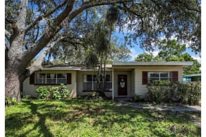 217 W Bougainvillea Ave, TAMPA