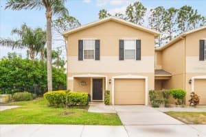 8012 Savannah Sunset Ln, TAMPA