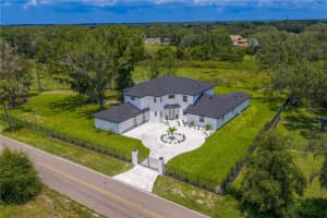 2202 NEWBERGER ROAD, LUTZ, FL 33549 - MLS#MFRTB8412647