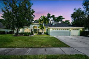 10526 Greencrest Dr, TAMPA