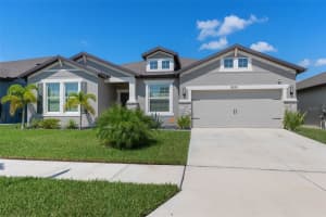 9539 Ibis Grove Blvd, WESLEY CHAPEL
