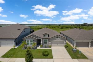 9539 IBIS GROVE BOULEVARD, WESLEY CHAPEL, FL 33545 - MLS#MFRTB8412716
