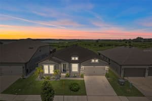 9539 IBIS GROVE BOULEVARD, WESLEY CHAPEL, FL 33545 - MLS#MFRTB8412716