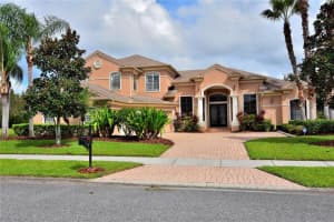 20411 LACE CASCADE ROAD, LAND O LAKES, FL 34637 - MLS#MFRTB8412719
