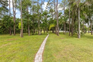 17804 WATERWAY CREEK DRIVE, LUTZ, FL 33549 - MLS#MFRTB8412744