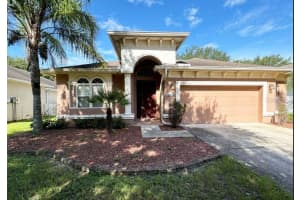 4508 Fieldview Cir, WESLEY CHAPEL