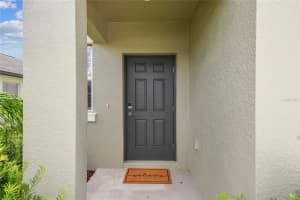 11459 LAVENDER LOOP, SPRING HILL, FL 34609 - MLS#MFRTB8412781