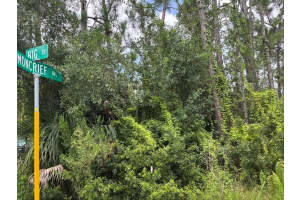 MONCRIEF BLK 50 AVE, NORTH PORT, FL 34286 - MLS#MFRTB8412789