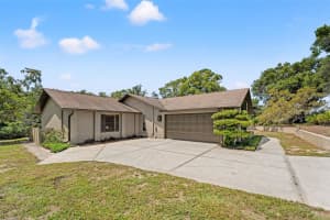 6230 DORSET ROAD, SPRING HILL, FL 34608 - MLS#MFRTB8412799