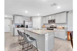 16636 WINDMILL FORGE PASS, WIMAUMA, FL 33598 - MLS#MFRTB8412824