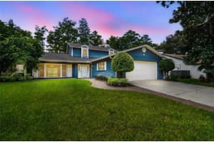 16806 Rolling Rock Dr, TAMPA