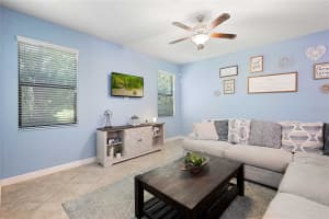 17365 OLD TOBACCO ROAD, LUTZ, FL 33558 - MLS#MFRTB8412828