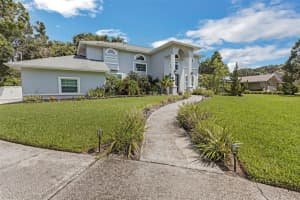436 LAFAYETTE BOULEVARD, OLDSMAR, FL 34677 - MLS#MFRTB8412856