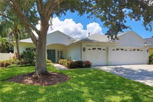 12029 Mountbatten Dr, TAMPA