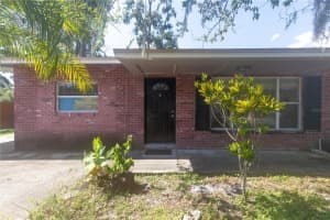 7618 Alvina St, TAMPA