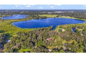 8807 OVERLOOK DRIVE, WESLEY CHAPEL, FL 33545 - MLS#MFRTB8412947