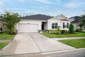 12937 Satin Lily Dr, RIVERVIEW