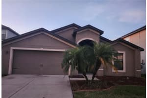 11922 Winterset Cove Dr, RIVERVIEW