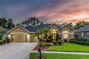 12524 Leatherleaf Dr, TAMPA