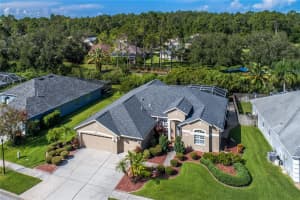 12524 LEATHERLEAF DRIVE, TAMPA, FL 33626 - MLS#MFRTB8413007