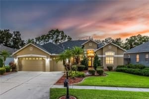 12524 LEATHERLEAF DRIVE, TAMPA, FL 33626 - MLS#MFRTB8413007