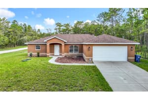 15433 Scaup Duck Ave, WEEKI WACHEE