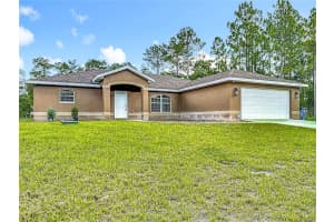 15433 SCAUP DUCK AVENUE, WEEKI WACHEE, FL 34614 - MLS#MFRTB8413020